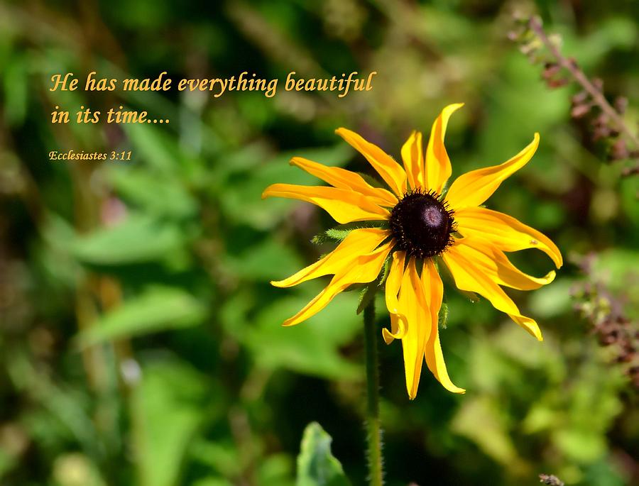 Flower Photograph - Everything Beautiful by Deena Stoddard