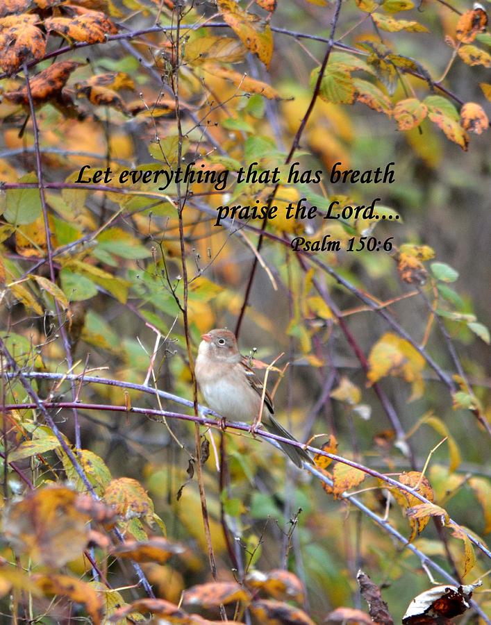 Everything That Has Breath Photograph by Deena Stoddard