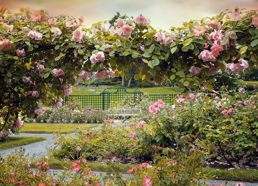 Romantic Garden with Blooming Roses Photograph - Everythings Coming up Roses by Jessica Jenney