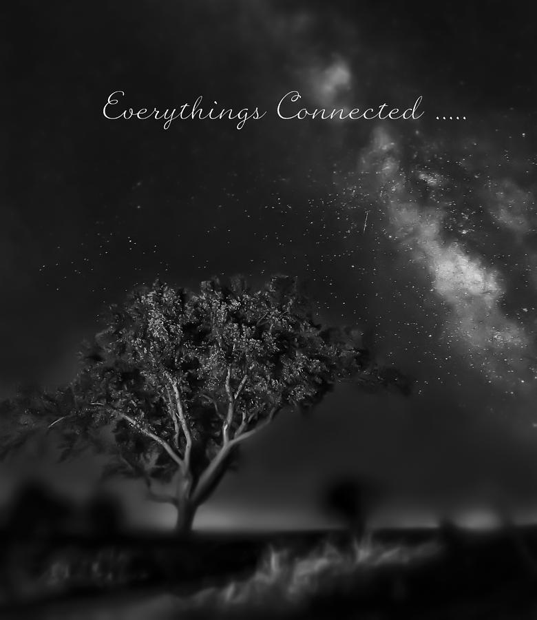 Inspirational Photograph - Everythings Connected by Garett Gabriel Inspirational Photograph - Everythings Connected by Garett Gabriel