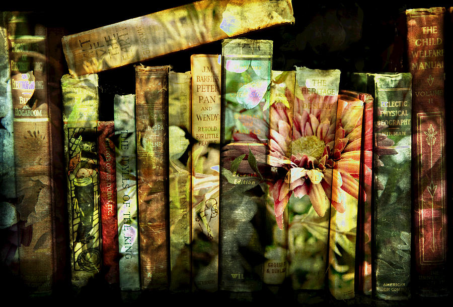 Evies Book Garden Photograph by Evie Carrier