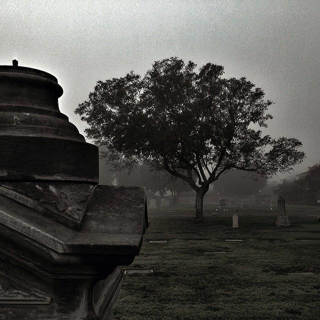 Evil Being The Root Of Mystery, Pain Is Photograph by Louis Alvarez Evil Being The Root Of Mystery, Pain Is Photograph by Louis Alvarez