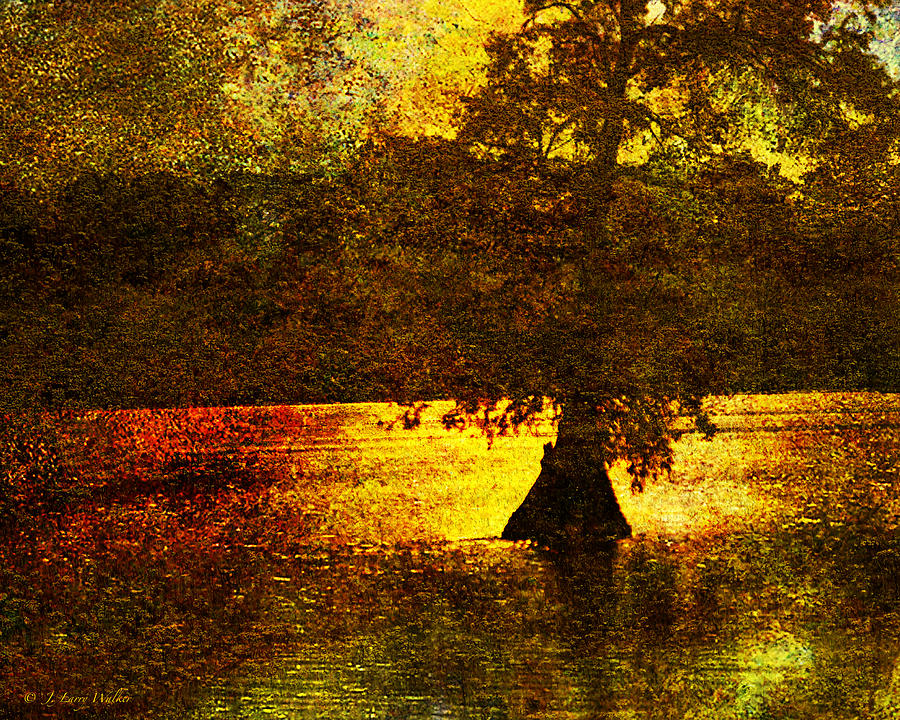 Evocative Waterscape Sunrise Digital Art by J Larry Walker