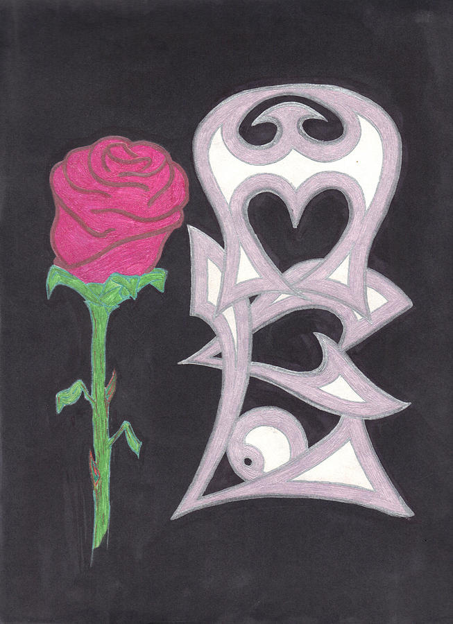 Rose Drawing - Evol rose by Daniel McCormick