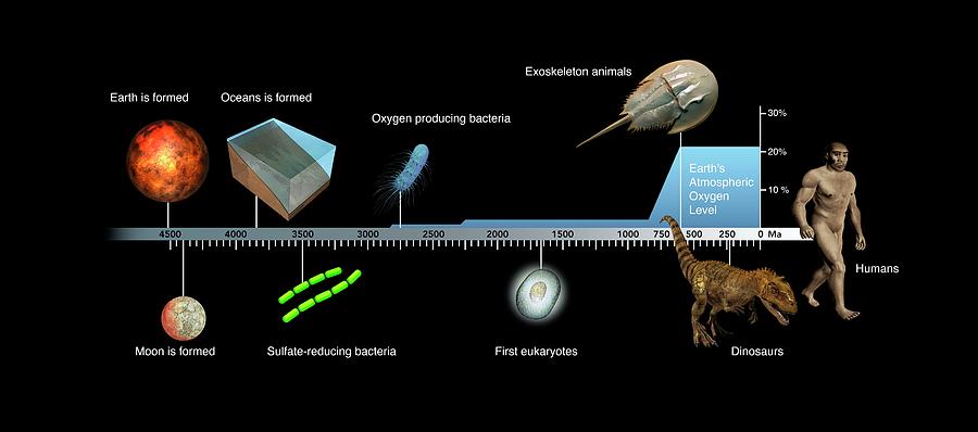Evolution Of Earth Timeline Photograph by Mikkel Juul Jensen