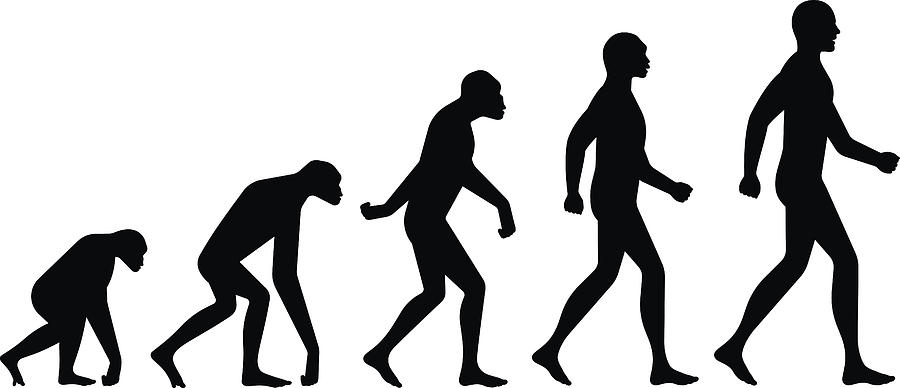 Evolution Silhouettes Drawing by Filo