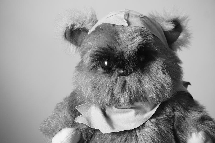 Star Wars Photograph - Ewok by Southern Tradition