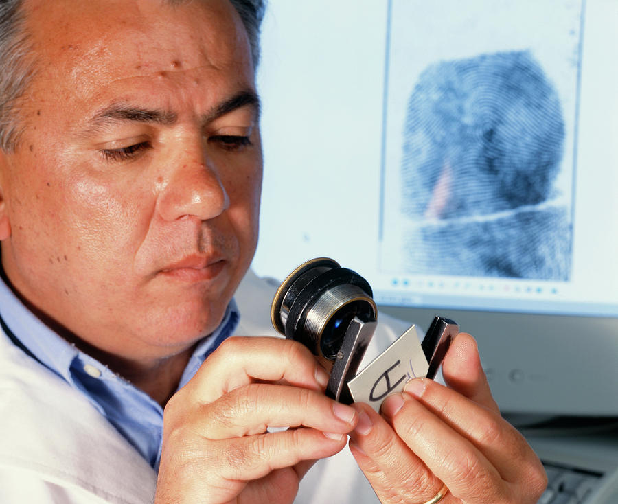 Examining Fingerprint Photograph by Mauro Fermariello/science Photo Library