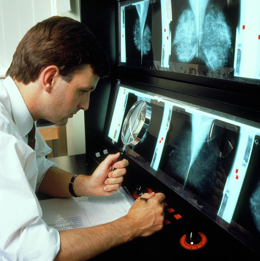 Examining X-rays Photograph by Chris Priest/science Photo Library