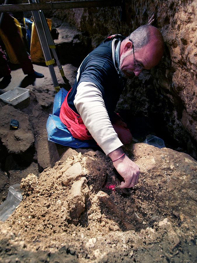Excavations At Sima De Los Huesos Photograph by Javier Trueba/msf