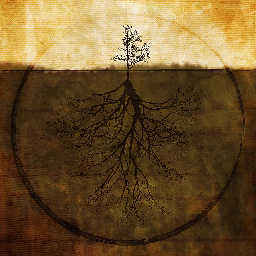 Tree Digital Art - Exemplar by Brett Pfister