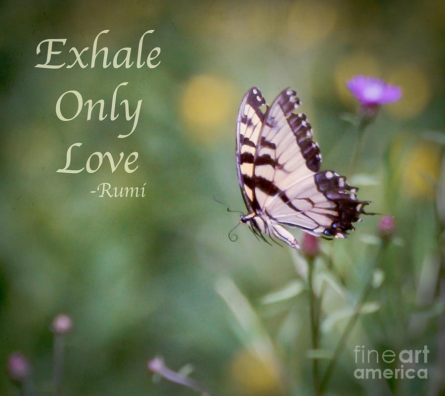 Exhale Only Love Photograph by Kerri Farley