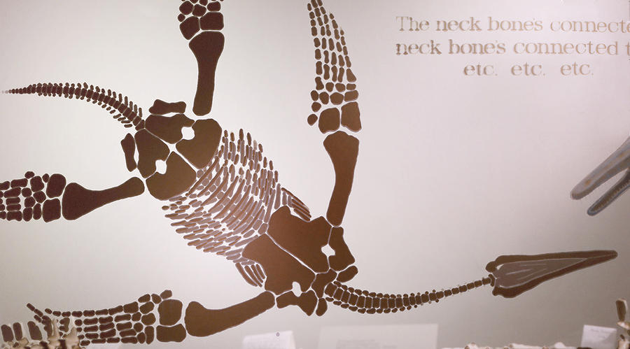 Exhibition Graphic Skeletal Plesiosaur Painting