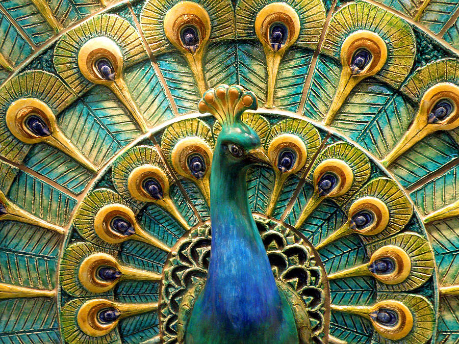 Peacock Photograph - Exhibitionist by Jean Hall