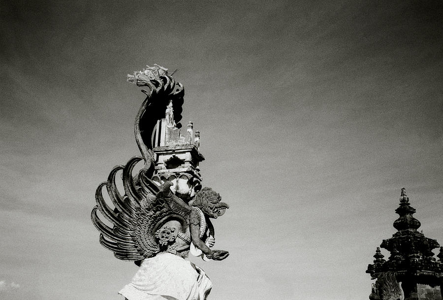 Exotic Designs Of Bali Photograph by Shaun Higson