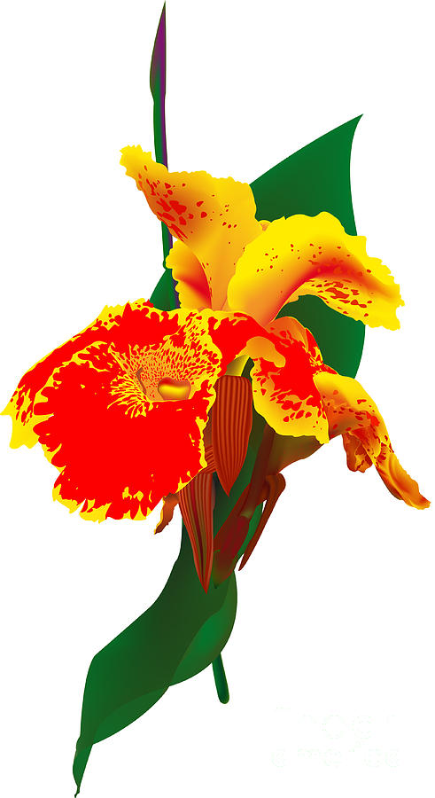 Exotic Flower Digital Art by Gina Koch