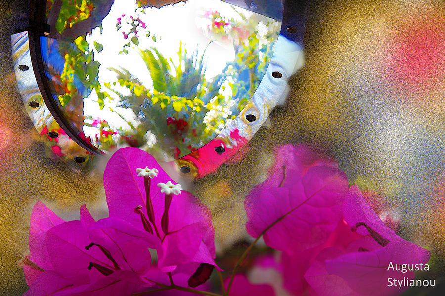 Exotic Flowers in Mirror Photograph by Augusta Stylianou