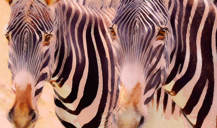Zebra Photograph - Exotic Friends by Melinda Hughes-Berland