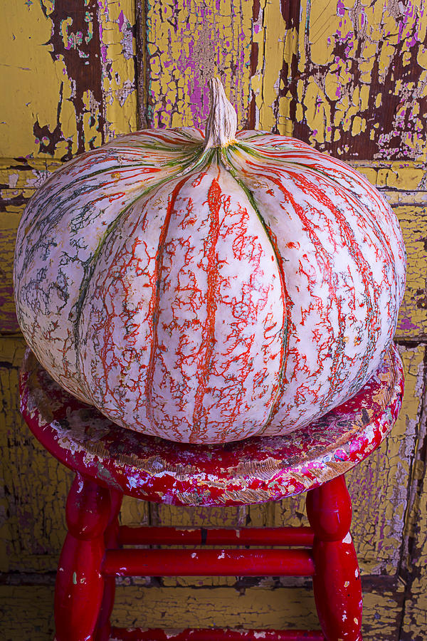 Fruit Photograph - Exotic Pumpkin by Garry Gay
