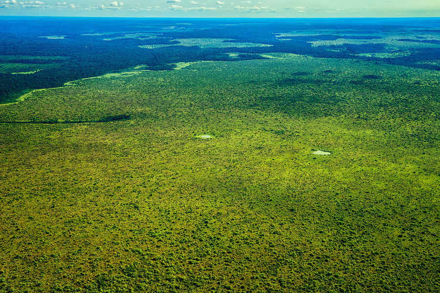 Expansive Grassland And Rainforest Photograph by James Steinberg