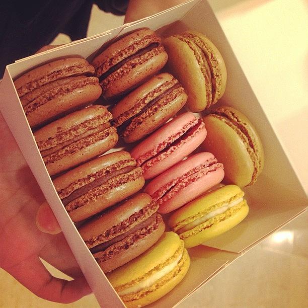 Expensive Macarons In Singapore >___< Photograph by Xiu Ching