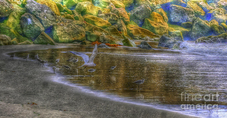 Seascapes Photograph - Experimenting with HDR by Jennifer Lawrence