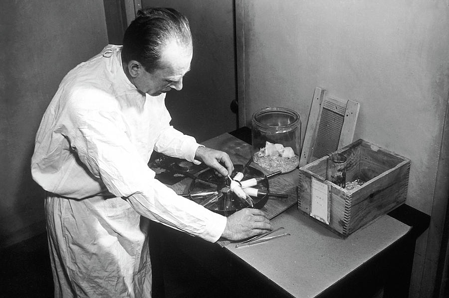 famous mice experiments