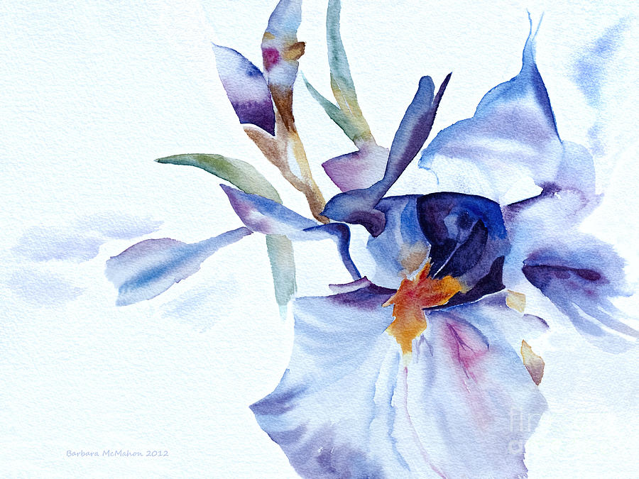 Iris Painting - Exploding Iris by Barbara McMahon