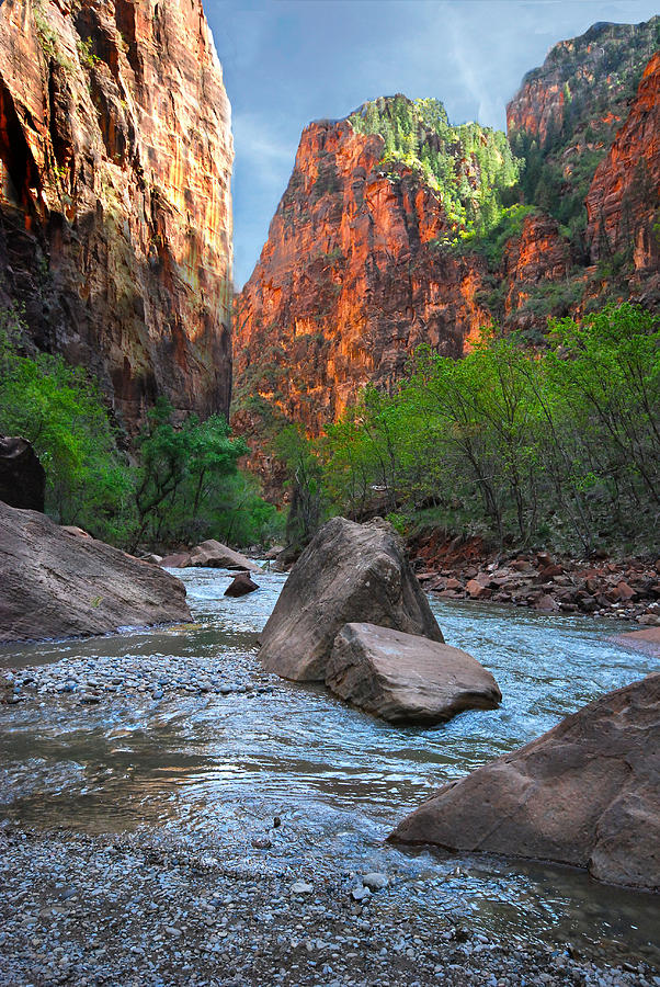 Exploring Zion Photograph by Barbara Manis