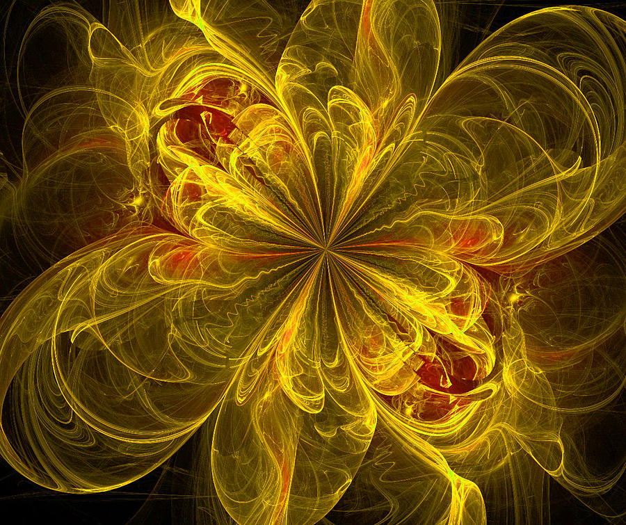 Abstract Digital Art - Explosion of a Flower by Katie Tkachuk