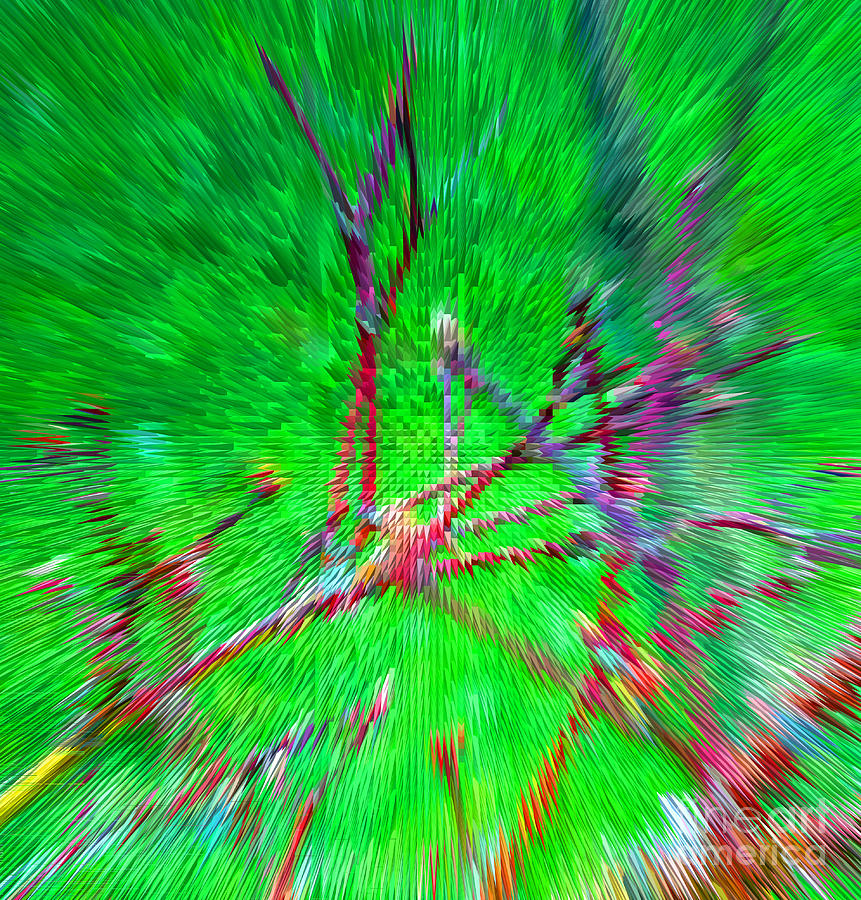 Explosion of Spring Digital Art by Alys Caviness-Gober