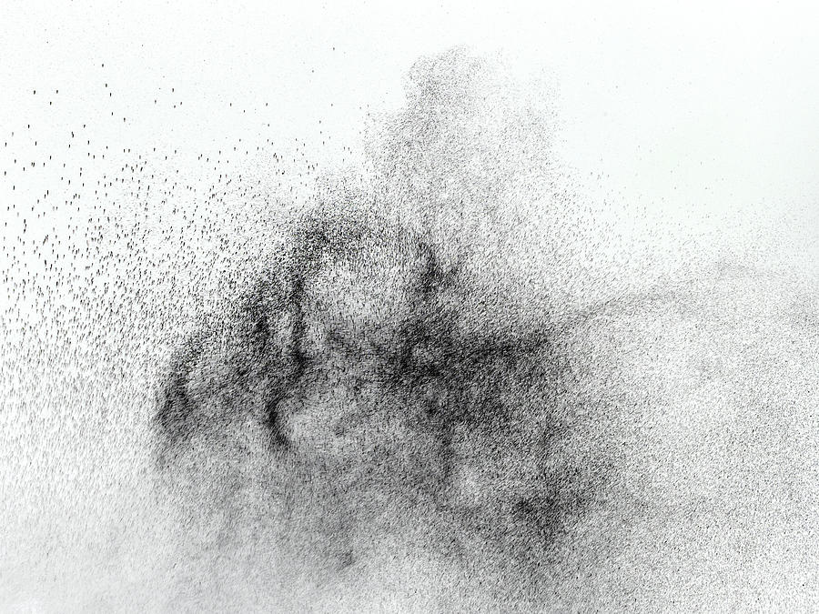 Explosion of water drops of color black, floating in the air on a white background Photograph by Jose A. Bernat Bacete