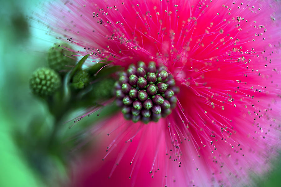 Explosion Photograph by Paula Barrickman - Fine Art America