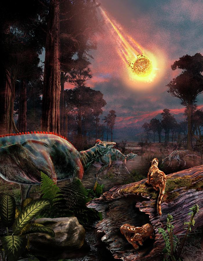 Extinction Of The Dinosaurs Photograph by Nicolle R. Fuller/science Photo Library