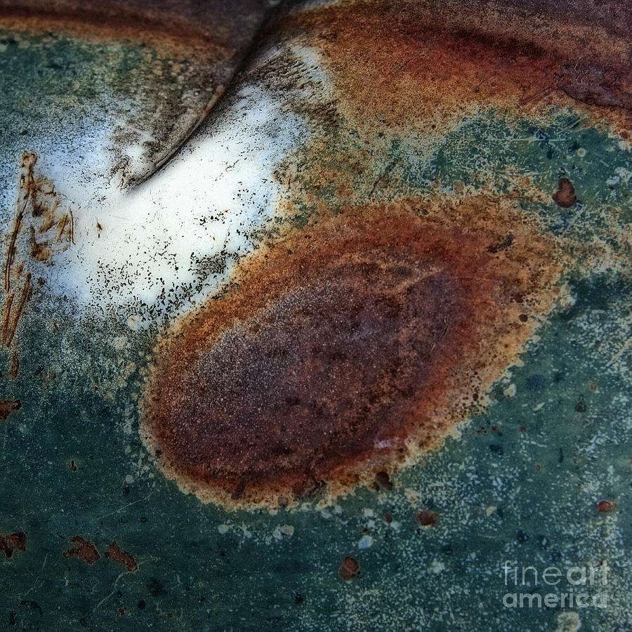 Extremophile Abstract Square Photograph by Lee Craig