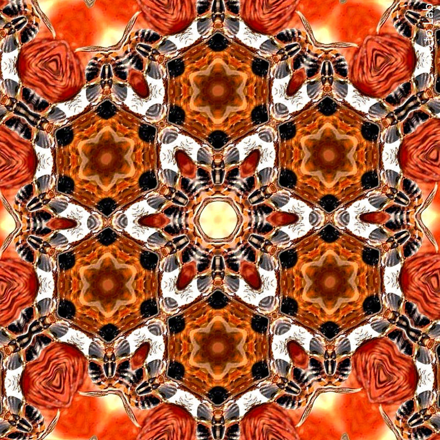 Eye Bee Mandala Digital Art by Karen Buford