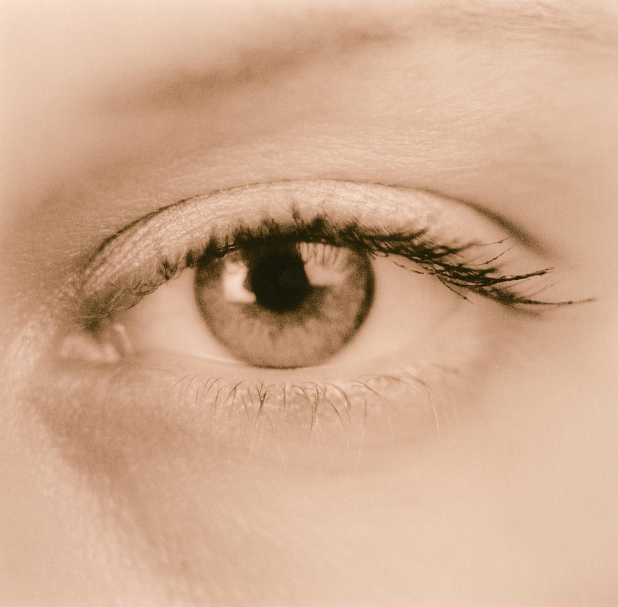 Eye Photograph by Cristina Pedrazzini/science Photo Library