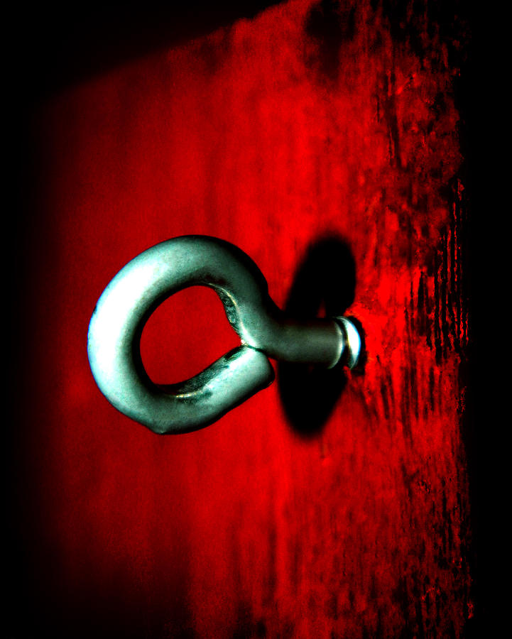 Eye Hook Photograph by Ester McGuire