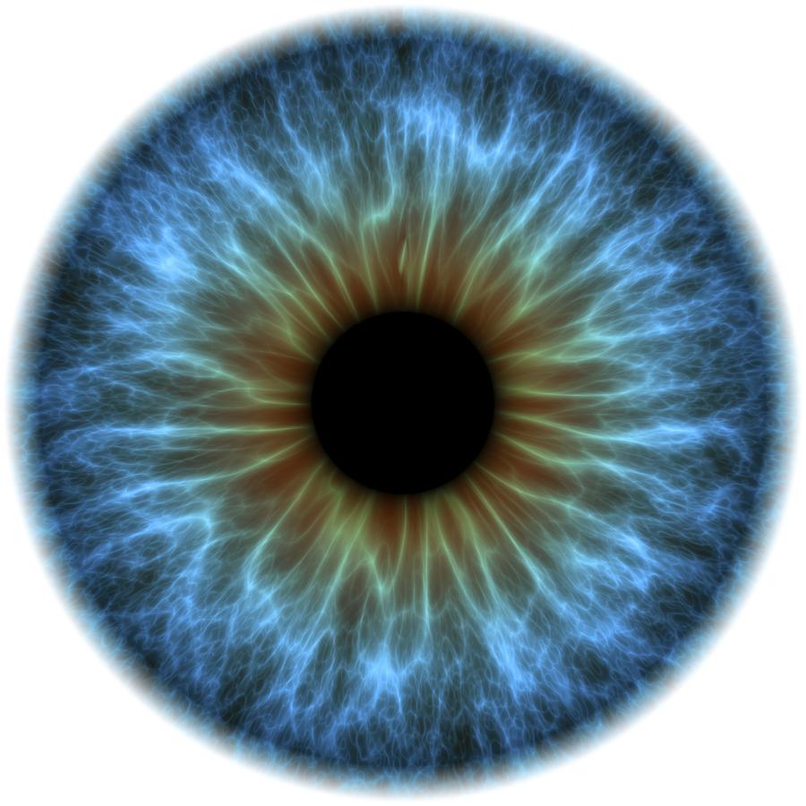 Eye, iris Drawing by Science Photo Library - PASIEKA