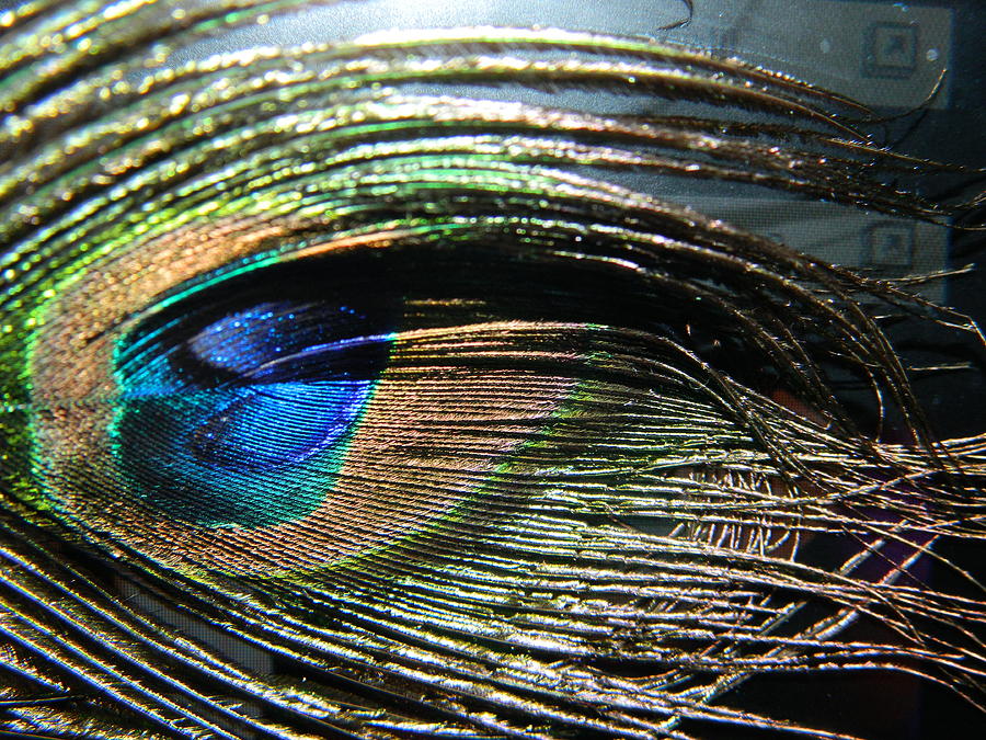 Abstract Photograph - Eye Lashes by Tara Miller