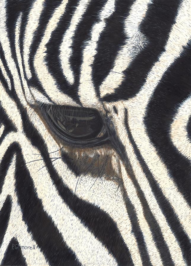 Wildlife Painting - Eye Liner by Pat Gilmore