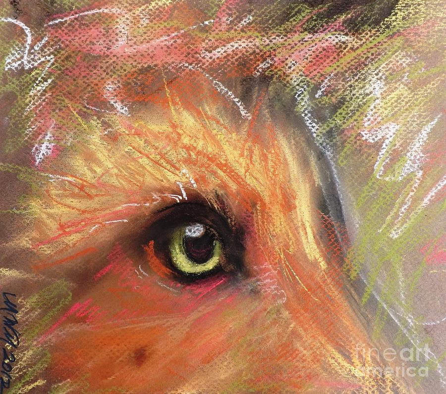 Eye of Fox by Michelle Wolff Eye of Fox by Michelle Wolff
