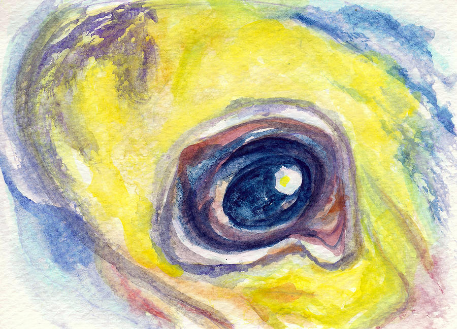 Eye of Pelican Painting by Ashley Kujan
