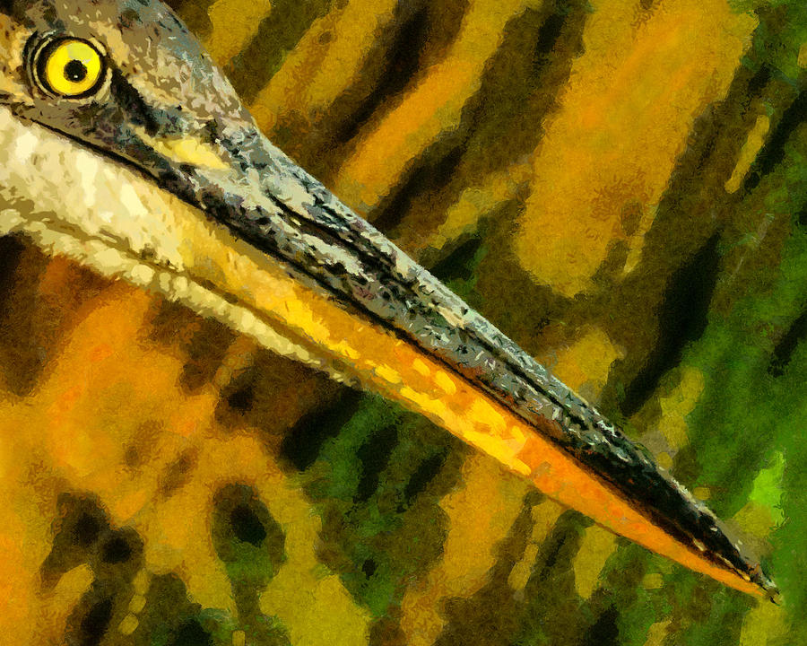 Eye of the Heron Digital Art by Ernest Echols