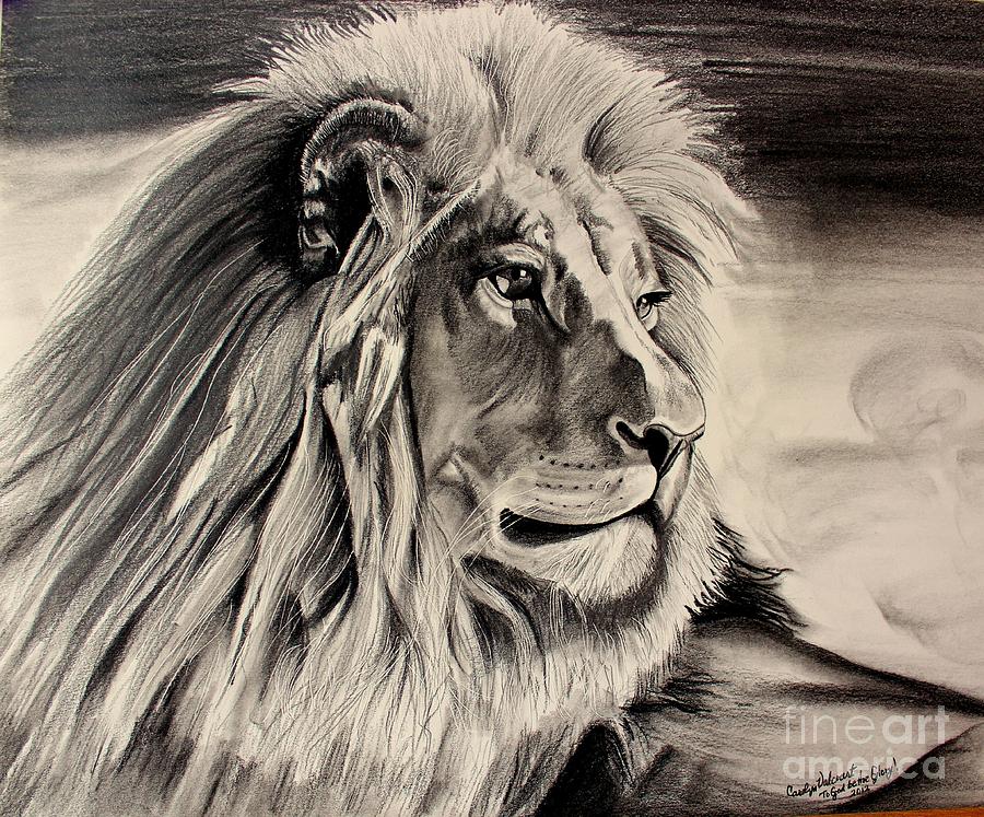 Jungle Drawing - Eye of the Lion by Carolyn Valcourt