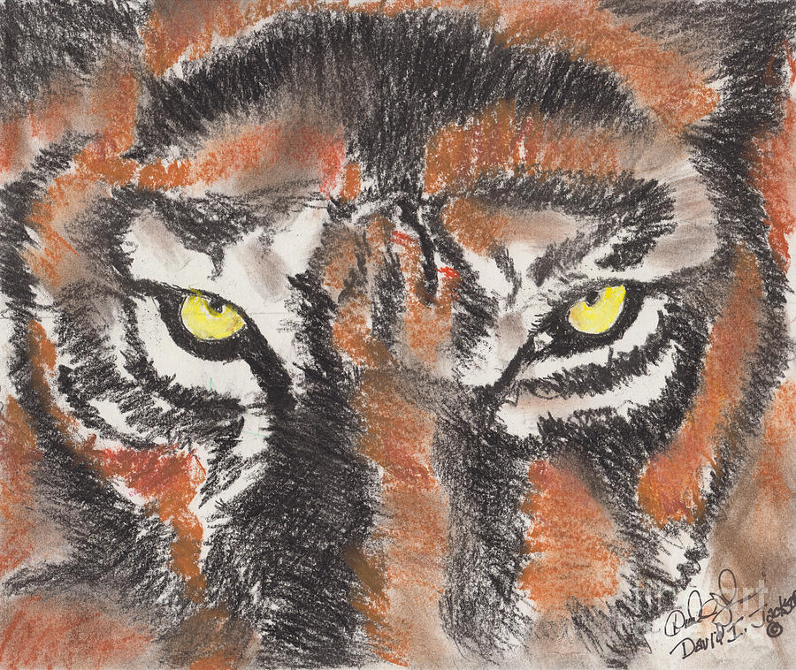 Eye of the Tiger Pastel by David Jackson