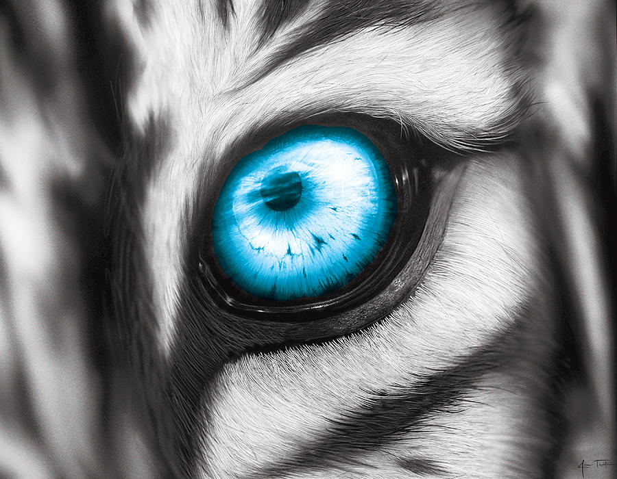 Eye Of The White Tiger Digital Art By James Thornton