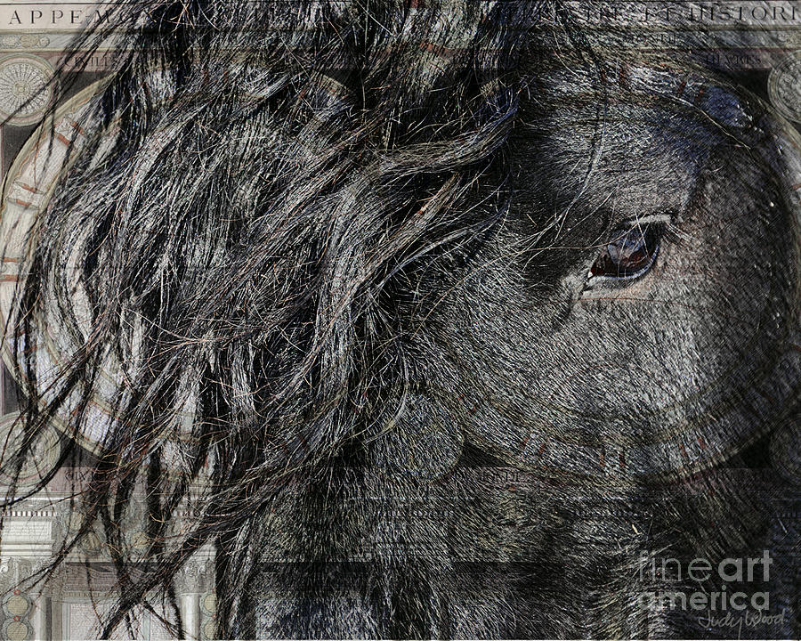 Horse Digital Art - Eye of the World by Judy Wood