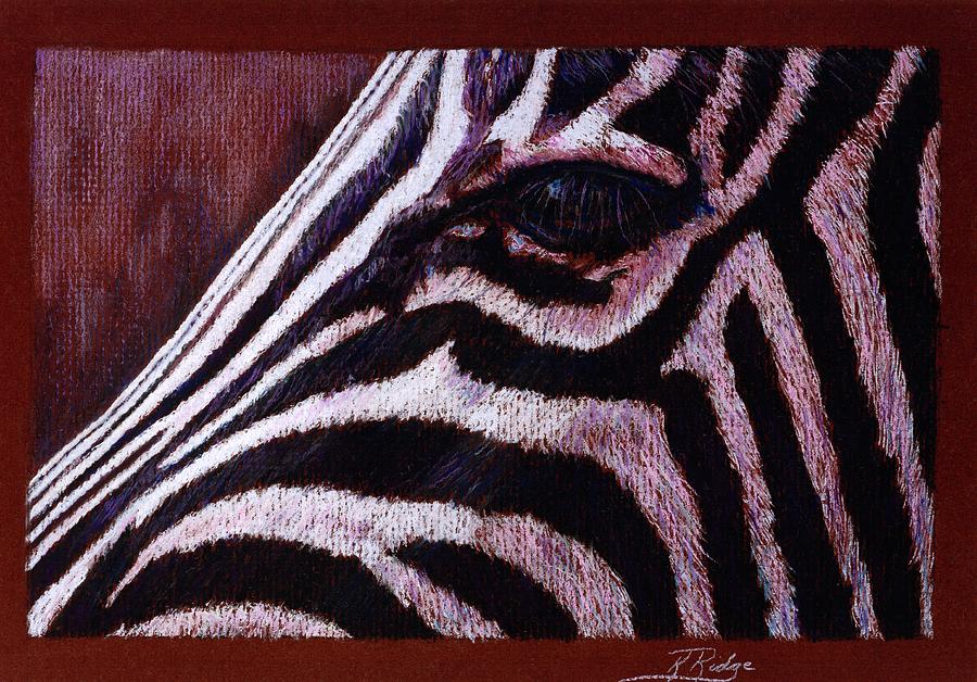 Eye of the Zebra Painting by Kay Ridge