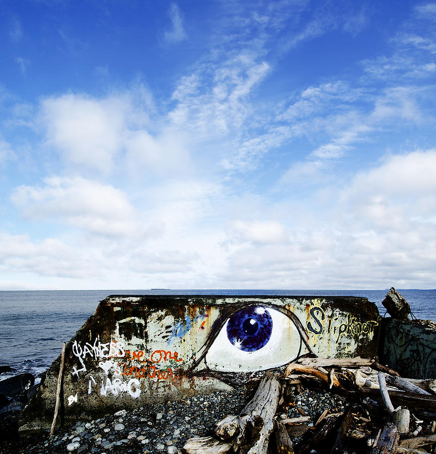 Eye on the Strait Photograph by Bob VonDrachek